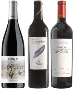 Iniciación a la DO Ribera del Duero