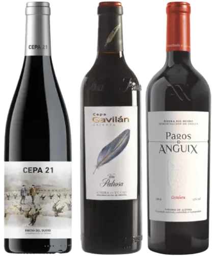Iniciación a la DO Ribera del Duero