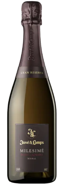Juve & Camps Milesimé Blanc de Noirs 2019