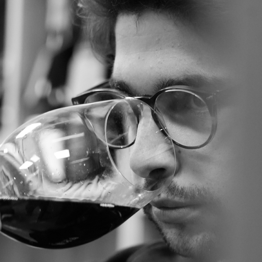 Guía para Principiantes: Cómo Catar un Vino Paso a Paso